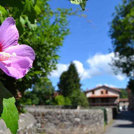 Hotel Gran Balneario De