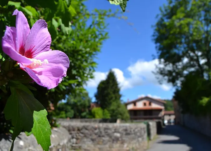 Отель Gran Balneario De
